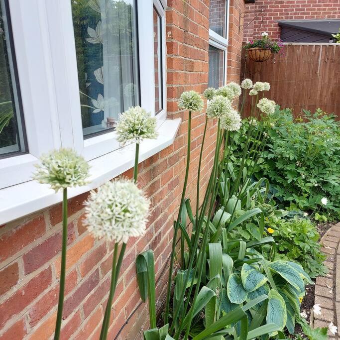 Cheerful, Cosy, One Bedroom Home With Patio And Parking 뉴버리 외부 사진